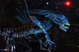15" Inch Tall HUGE Deluxe Black Alien Xenomorph Queen 1/4 Scale Figure Discontinued NECA (Alien) Figure NECA
