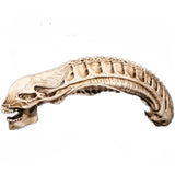 20" Inch Long HUGE AvP Alien Xenomorph Resin Skull 1/2 Scale Collectible Statue Predator Trophy Figure NECA
