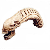 20" Inch Long HUGE AvP Alien Xenomorph Resin Skull 1/2 Scale Collectible Statue Predator Trophy Figure NECA