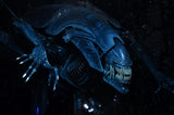 15" Inch Tall HUGE Deluxe Black Alien Xenomorph Queen 1/4 Scale Figure Discontinued NECA (Alien) Figure NECA