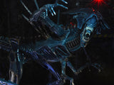 15" Inch Tall HUGE Deluxe Black Alien Xenomorph Queen 1/4 Scale Figure Discontinued NECA (Alien) Figure NECA