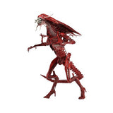 15" Inch Tall HUGE Deluxe Red Alien Xenomorph LE Mother Queen 1/4 Scale Figure LIMITED EDITION Figure NECA